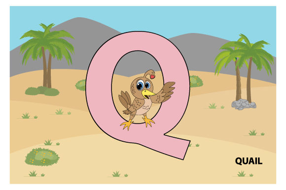 Funny Quail with the Letter Q Graphics