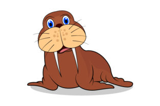 Funny Walrus Graphics for Branding and Marketing